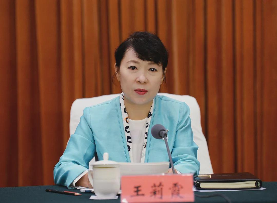 正部级王莉霞，任上被查